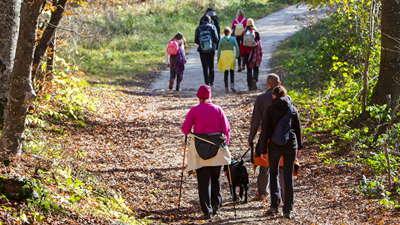 A group of nine people of all ages and abilities are walking through a forest on a wide flat footpath.