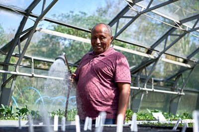 Man with brown skin, short grey hair wearing a short-sleeved polo shirt and trousers, holds an outdoor shower hose in a large light greenhouse, watering trays of soil and small plants on table tops, while smiling.